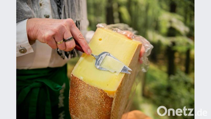 Die Nachfrage nach Milchprodukten bleibt trotz Coronakrise hoch. Jetzt sollen die Beschäftigten in Bayerns milchverarbeitenden Betrieben von den guten Geschäften profitieren, fordert die Gewerkschaft NGG. Bild: exb