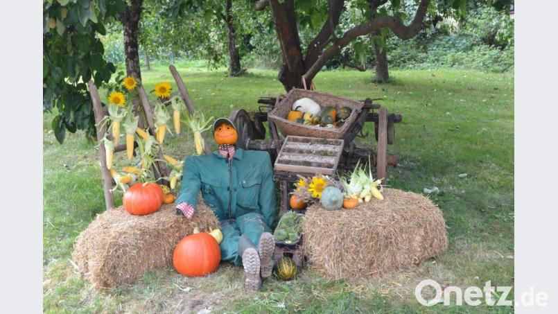 Ein stimmungsvoller Hingucker ist diese "Kürbisfamilie" in Haselbrunn Bild: do