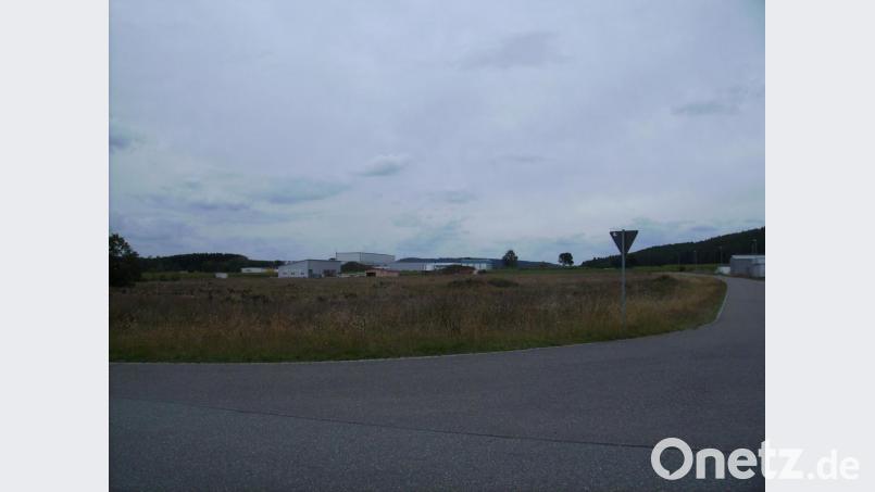 Am Heidweg will die Firma Ziegler ein Pelletwerk errichten. Noch im September soll mit dem Bau zweier Pelletlagerhallen begonnen werden. Bild: bjp