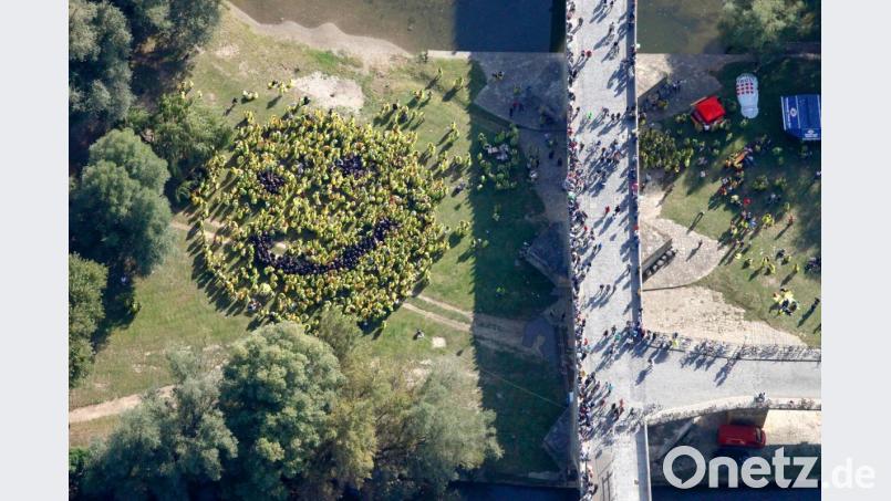 Für die Wiese auf der Jahninsel in Regensburg gilt nun ein nächtliches Betretungsverbot. Bild: Regensburg Tourismus Gmbh