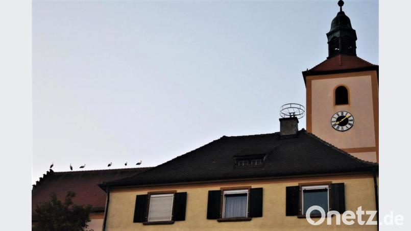 Störche auf der Ehenfelder Kirche Bild: fdl