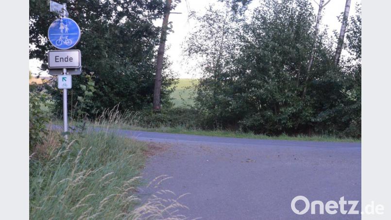 Aktuell endet der Radweg an der B22 auf der Höhe von Schadenreuth bei Erbendorf. Bild: lue