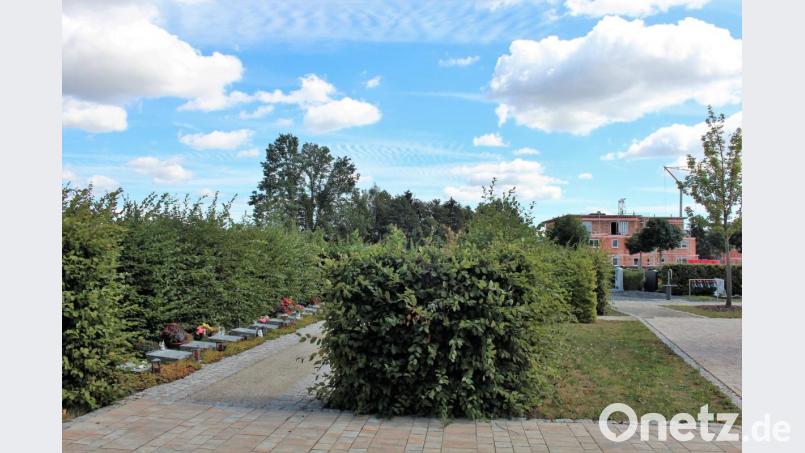 Auf der freien Rasenfläche rechts von der Hecke sollen weitere neun Urnenplätze entstehen. Bild: stg