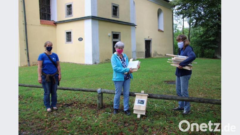 Verena Bauer (links) und Nicole Merbald (rechts), die beiden Initiatorinnen der LBV-Aktion &quot;Bau der Fledermaus ein Haus&quot; gaben vor der Mutter-Anna-Kirche im Ortsteil Mühlberg 40 von 180 bestellten Bausätze an deren Besteller aus. Monika Wittmann (Mitte) will das Haus selbst zusammenbauen und in ihrem Garten am Stamm einer Buche aufhängen. Bild: prh