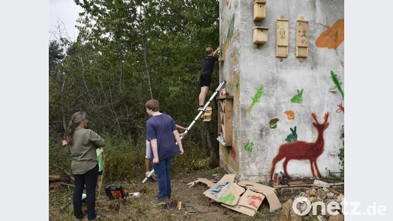 Hier findet der Holz-Auerochse noch in den Ferien seinen Platz. Bild: sck