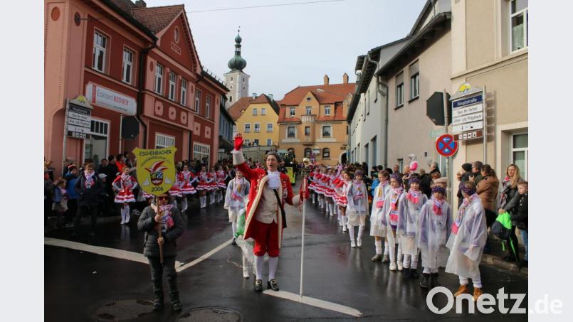 Die Eschenbacher Faschingsgesellschaft mit Jugend- und Prinzengarde sowie Prunkwagen am Zug in Pressath Anfang des Jahres. Ein solches Bild ist im Augenblick schwer vorstellbar. Archivbild: sne