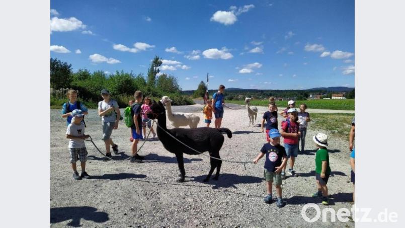 Groß war die Begeisterung der Kinder für dieses Angebot im Ferienprogramm Bild: ld