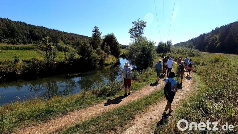 Die Exkursion führte entlang der Lauterach zu einer Reuse, die Aufschluss über die Krebs-Population geben soll. Bild: Jonas Nelhiebel, Naturpark Hirschwald/exb