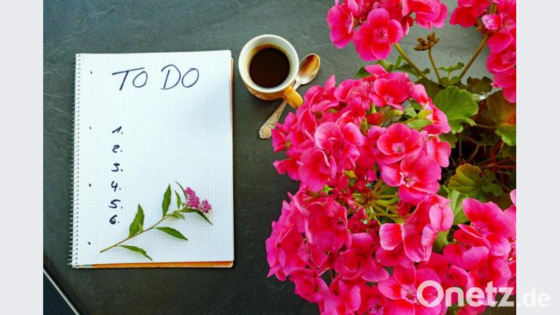 Machen Sie sich doch einmal eine To-do-Liste, die Sie so richtig glücklich macht. Bild: Stephanie Albert – stock.adobe.com