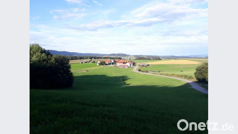 Die Flurwerkstatt für den Bereich Thanstein-Tännesried soll Potentiale eines Flurneuordnungsverfahrens aufzeigen. Das Foto zeigt einen Teil des Verfahrensgebiets mit Blickrichtung nach Tännesried. Bild: mnt