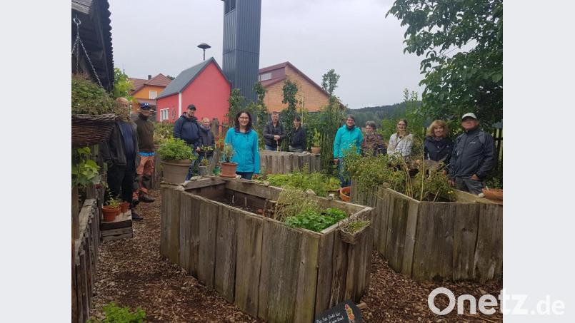 Diplom-Biologin Claudia Schmid (Fünfte von links) informierte die Besucher über die heimischen Kräuter und Heilpflanzen im Hexengarten sowie auf Feld und Flur. Mit dabei der Naturpark-Ranger und Landschaftsökologe Heiko Hofmann vom Naturpark Nördlicher Oberpfälzer Wald aus Neustadt/WN (Zweiter von links). Bild: gi