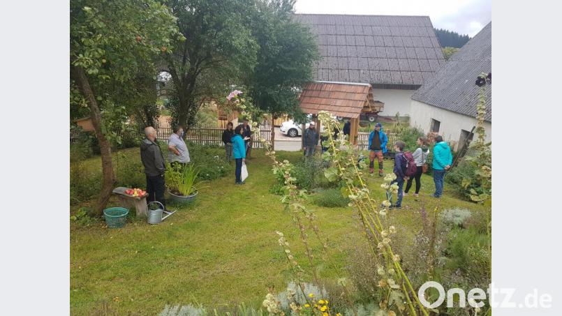 Diplom-Biologin Claudia Schmid (Vierte von links) informierte die Besucher über die heimischen Kräuter und Heilpflanzen im Hexengarten sowie auf Feld und Flur. Mit dabei der Naturpark-Ranger und Landschaftsökologe Heiko Hofmann vom Naturpark Nördlicher Oberpfälzer Wald aus Neustadt/WN (Vierter von rechts). Bild: gi