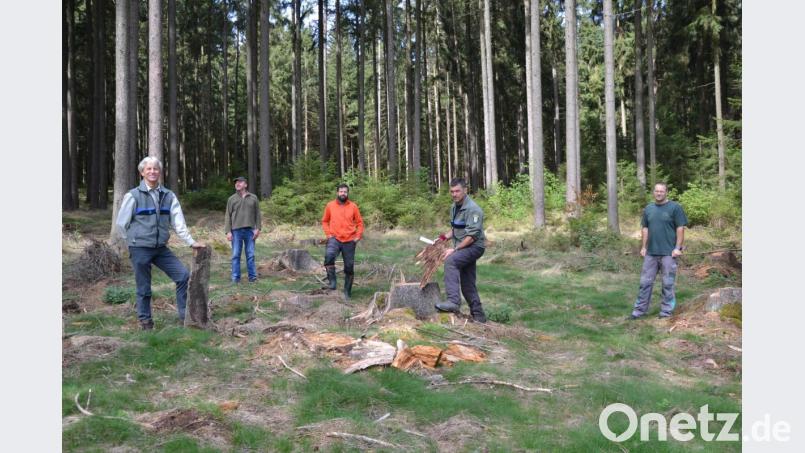 Behörde, Waldbesitzervereinigung und Waldbesitzer müssen eng zusammenarbeiten, um dem Borkenkäfer Paroli bieten zu können, von links: Forstdirektor Gerhard Hösl, Waldbesitzer Hans Gebert, WBV-Förster Andreas Eiser, Forstrevierleiter Stefan Stangl und WBV-Geschäftsführer Josef Maier. Bild: ck