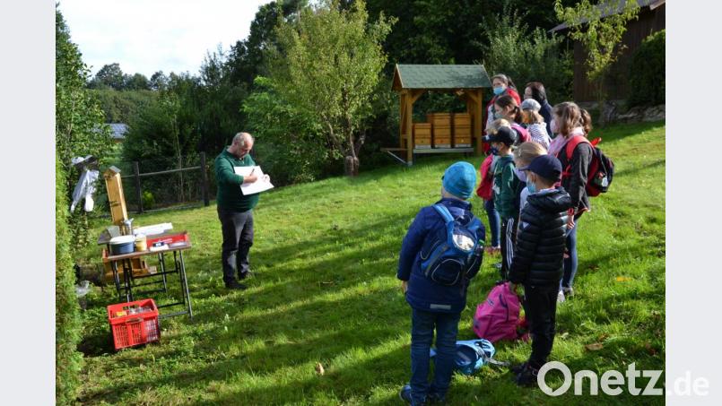 Imker Martin Götz informiert die Mädchen und Buben über das Leben und Wesen der Bienen. Bild: gi