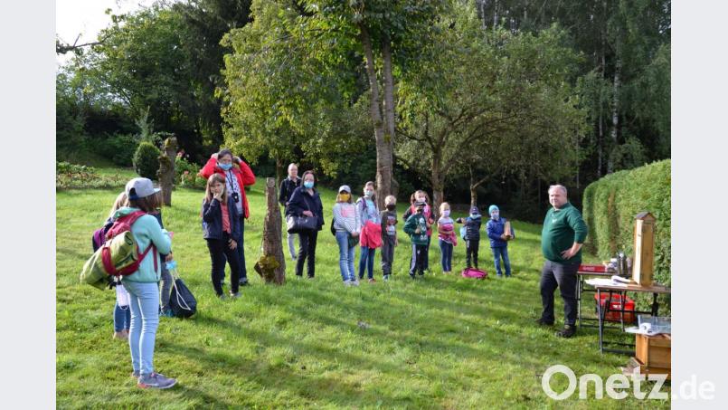Imker Martin Götz informiert die Mädchen und Buben über das Leben und Wesen der Bienen. Bild: gi