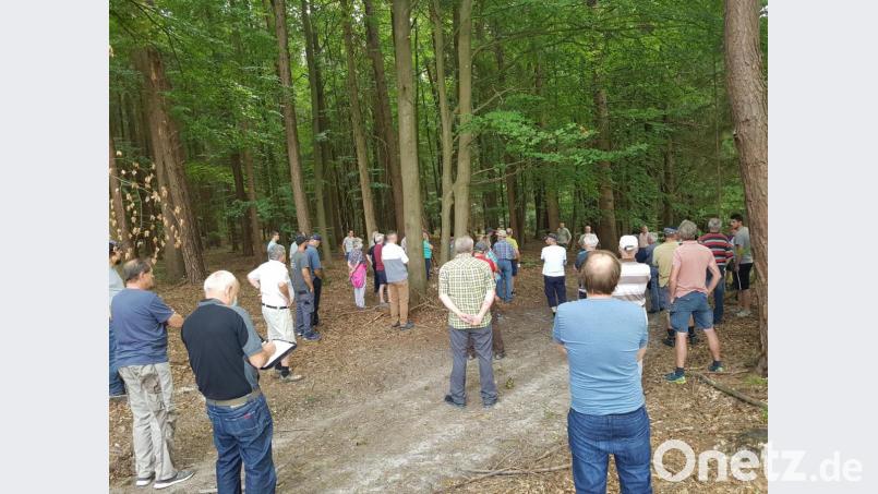 Großes Interesse fand ein Training zur Erkennung von Borkenkäferbefall. Bild: Michael Bartl/exb