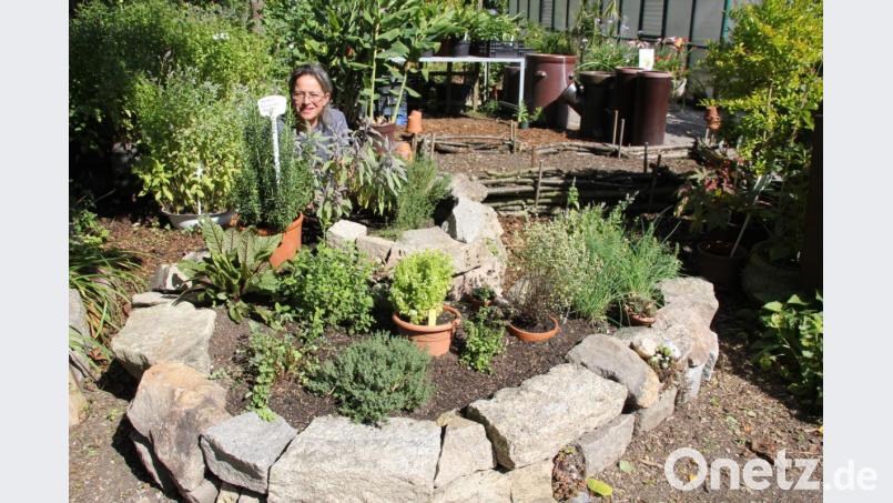 Gärtnermeisterin Tanja Götz hat im Kräutergarten eine Kräuterspirale angelegt, um den dortigen Besuchern diese ausgeklügelte Hochbeetform näher zu bringen. Diese biete in mehreren Zonen Platz für unterschiedliche Kräuter auf wenig Raum. Bild: ads