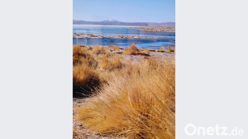Die kargen und weiten Gras- und Seenlandschaften vor den schneebedeckten Bergriesen der Anden gehören zu den Lieblingsmotiven der Fotografin. Bild: do