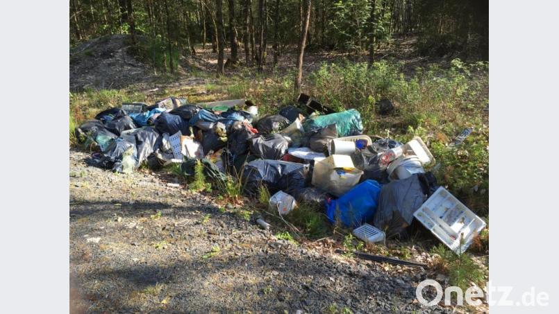 Eine größere Menge an Müll und Unrat hat ein Unbekannter an einem Waldweg unmittelbar an der Staatsstraße TIR40 nahe Themenreuth abgelegt, kurz hinter der Abzweigung von der B15. Bürgermeister Johann Burger hat Anzeige erstattet und bittet um Hinweise. Bild: jr