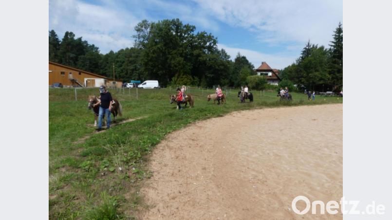 Angeführt von Doris Fröch die jungen Reiter auf den Rücken der Ponys viele Runden. Bild: rn