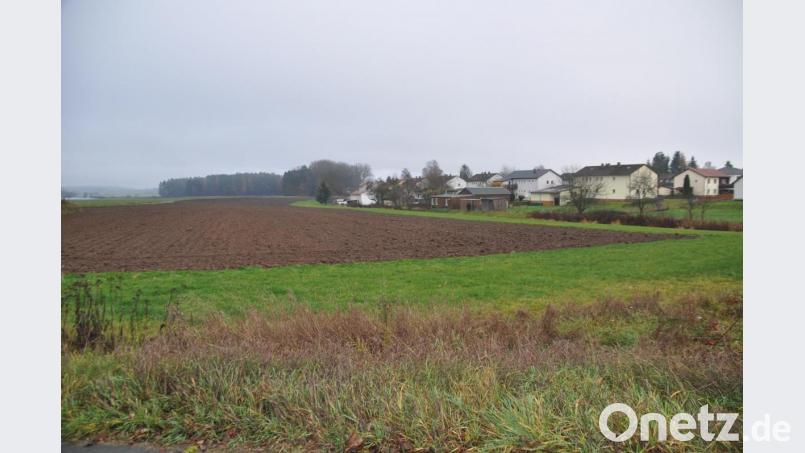 Das neue Baugebiet am Herrenweiher in Plössen. Bild: ak