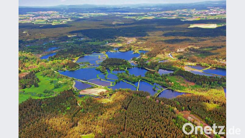 Auf dem Fliegerfoto, das Thomas Sporrer aus dem Cockpit von Dr. Albert Frank aufgenommen hat, ist die strahlende Teichlandschaft eindrucksvoll zu sehen. Links hinten taucht Wiesau, rechts Mitterteich auf. Bild: Thomas Sporrer
