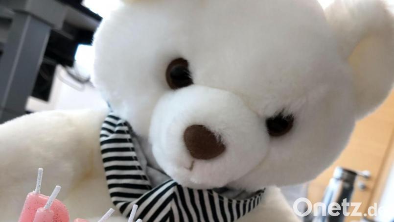 Am 9. September ist Teddybärtag. Bild: Alexander Unger