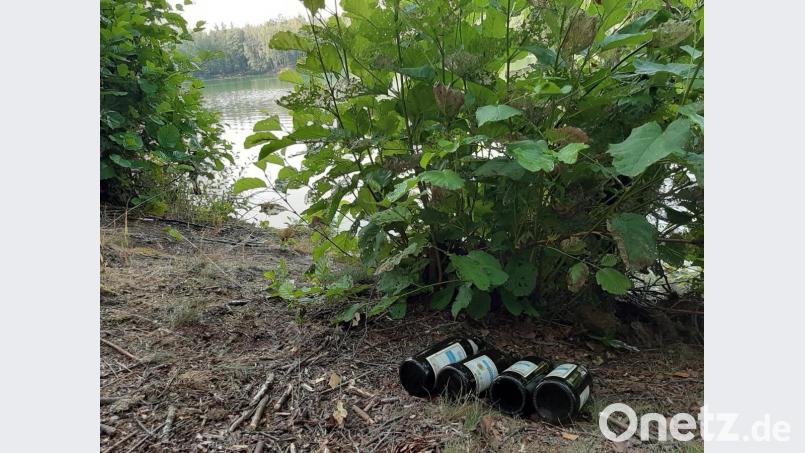 Und immer wieder Bierflaschen. Bild: ubb