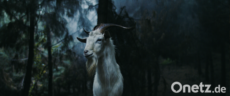 Erstmals auf einer deutschen Leinwand: Der kolumbianische Folk-Horrorfilm &quot;Luz: The Flower of Evil&quot; Bild: MPI Media Group