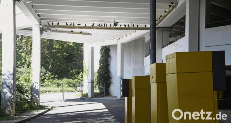 Der Einfahrtsbereich zum Liliencenter ist fest in „Tauben-Hand“. Bild: Petra Hartl