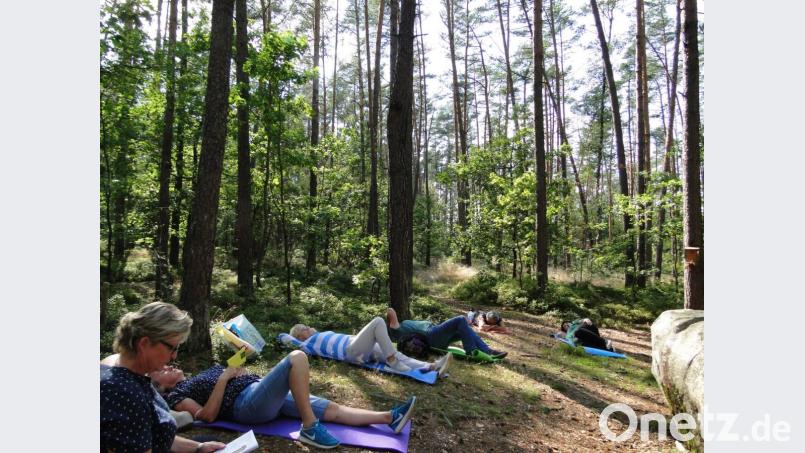 Stellen sie sich vor: Sie liegen auf dem Waldboden, ihr Blick geht zu den leicht wiegenden Baumkronen.
Alles ist ruhig. Sie hören nur das Knacksen der Äste ein Rauschen des Waldes. Bild: Christa Münster/exb