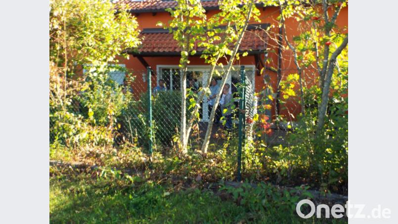 Aus Richtung TuS Gelände gesehen wo der Bus dreht und dann unmittelbar gegenüber des Haupteingangs halten soll, wo jetzt ziemlich üppig noch Gestrüpp wächst, ein Maschendrahtzaun das Gelände sichert und doch umfangreiche Arbeiten erforderlich wären. Bild: e