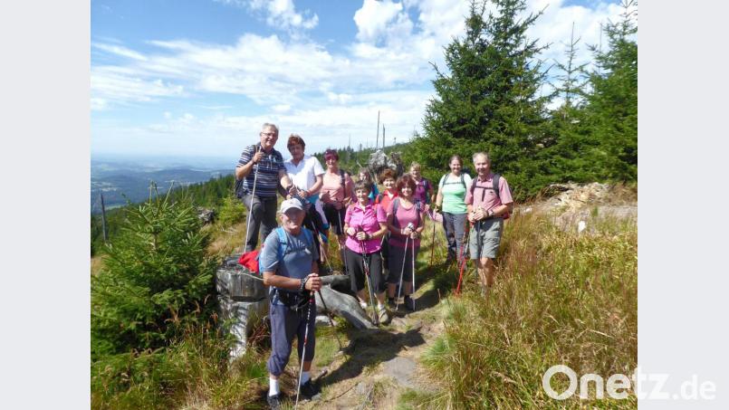 So manche herrliche Aussicht konnten die Teilnehmer der Goldsteig-Wanderung erleben. Bild: njn