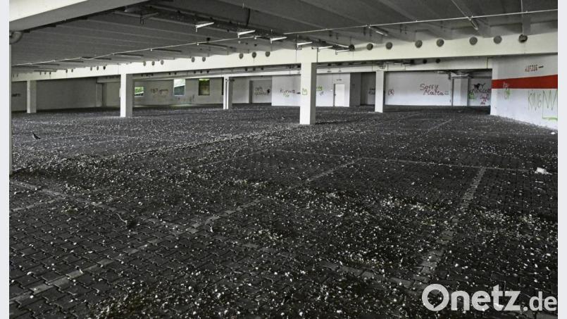 Schmutz und Taubendreck so weit das Auge im unteren Parkdeck des Liliencenters reicht. Bild: Petra Hartl