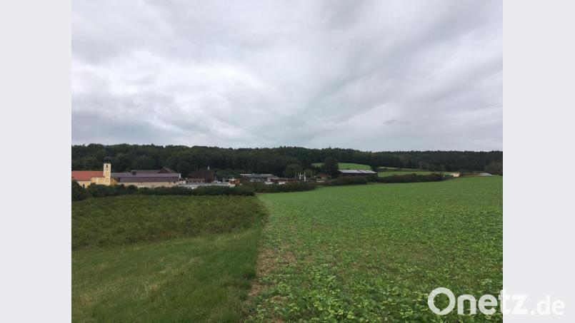 Auf dem bewaldeten Hügel nordöstlich von Wolfring sollen Urnen in naturbelassener Umgebung bestattet werden. Bild: ihl