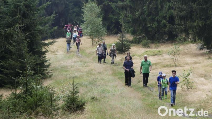 Für die Kinder, aber auch für Erwachsene, war die Wanderung über das Hochfelsplateau zum Böhmerwaldaussichtsturm ein echter Streifzug durch die Natur. Bild: mmj