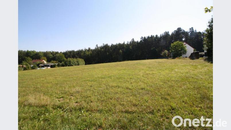 Für eine Grundfläche zwischen Paul-Leistritz-Straße und Siedlung Kurbersdorf III will die Gemeinde Trabitz einen Bebauungsplan erstellen. Bild: bjp