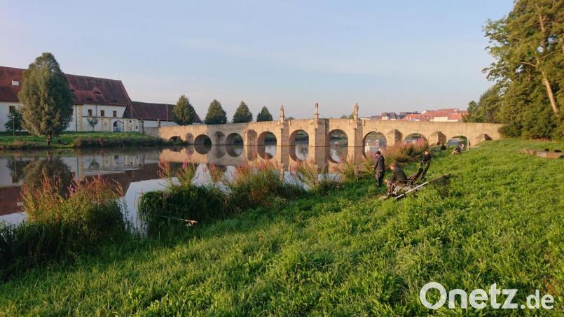 Teilnehmer am Königsfischen im Fischhofpark vor der Kulisse der historischen Fischhofbrücke. Bild: André Röckl/exb