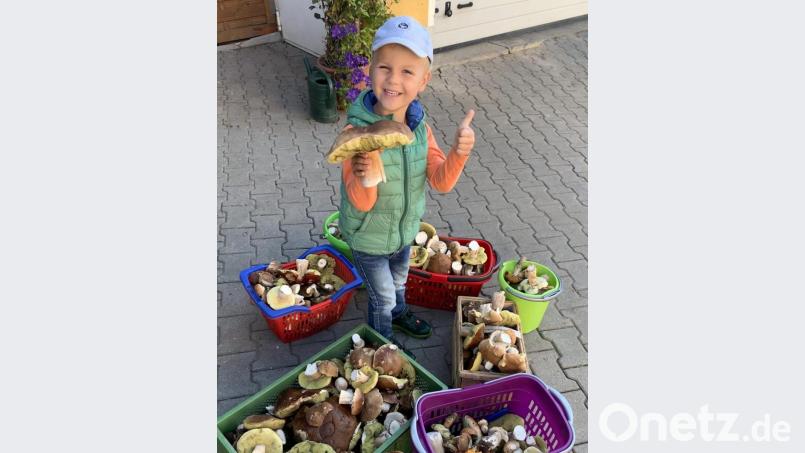 Jonas Ogarek strahlt übers ganze Gesicht. Die Schwammerl sicherten der ganzen Familie Mittag- und Abendessen. Den größten Steinpilz hält er in den Händen. Bild: dob