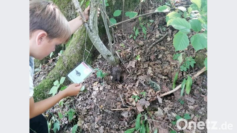 Bei der Naturerfahrung ging es auch um die Waldspitzmaus. Bild: Jägerkameradschaft Auerbach/exb