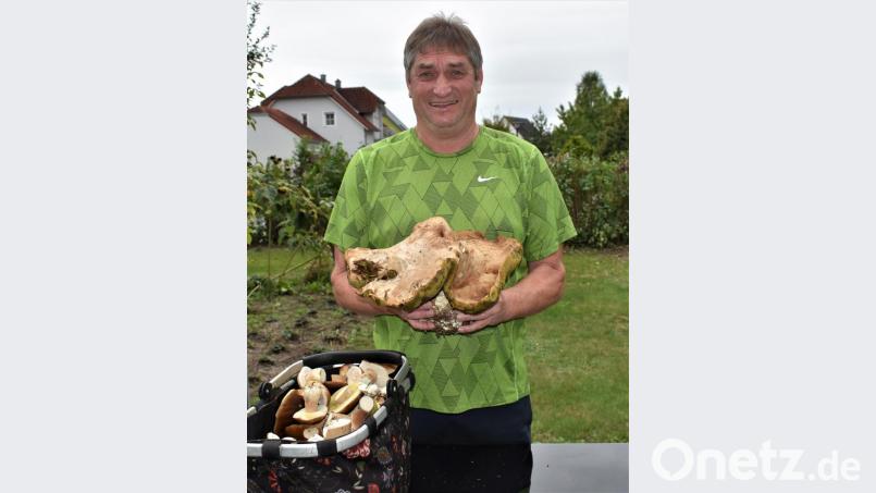 Leonhard Prölß hat einen riesigen und viele andere Steinpilze gefunden. Bild: rgr