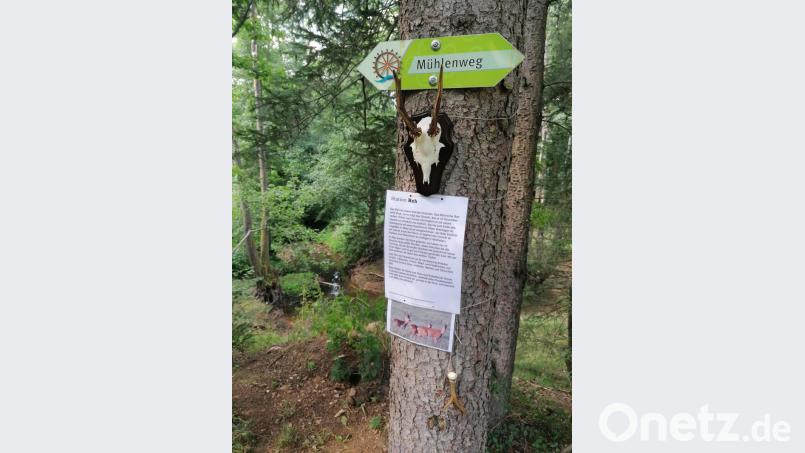 Station Rehwild. Bild: Jägerkameradschaft Auerbach/exb