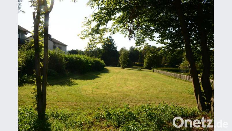 Das Grundstück zwischen der Hecke (links) und dem Zaun zum Kinderspielplatz (rechts) würden potentielle Bauwillige gerne für ihr Vorhaben nutzen. Die Bereitschaft zum Verkauf besteht bei den Eigentümern offensichtlich. Das Grundstück liegt außerhalb des rechtsverbindlichen Bebauungsplanes &quot;Herrenpoint&quot;. Bild: bey