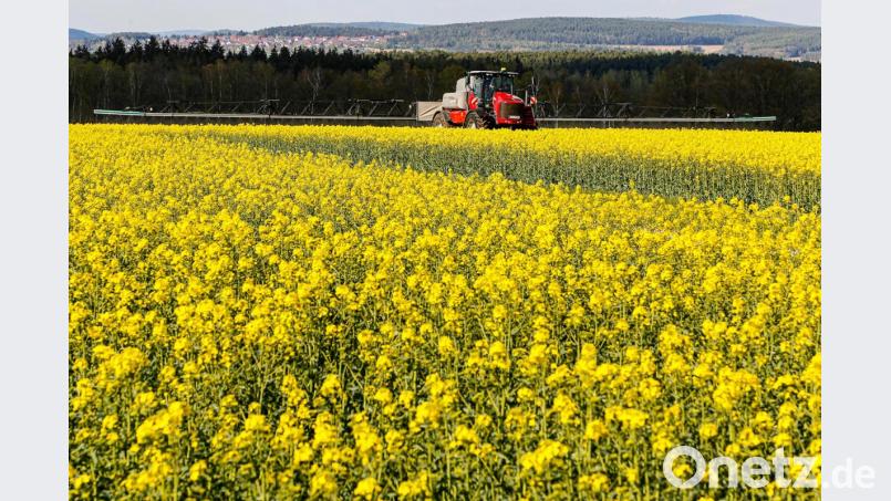 Landwirtschaft will gelernt sein. Bislang stand dafür die Landwirtschaftsschule Nabburg. Sie soll nach einem Beschluss der Staatsregierung 2022 geschlossen werden. Bild: Hösamer