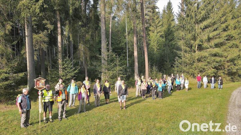 Erste gemeinsame Pause für die Zehnergruppen der Wallfahrt am Lochfelsen im Veldensteiner Forst nach dreistündigem Wallfahrtsweg. In der Mitte Wallfahrtsführer Rudolf Kraus, dahinter als Fußwallfahrer Pater Markus, CR. Bild: sck