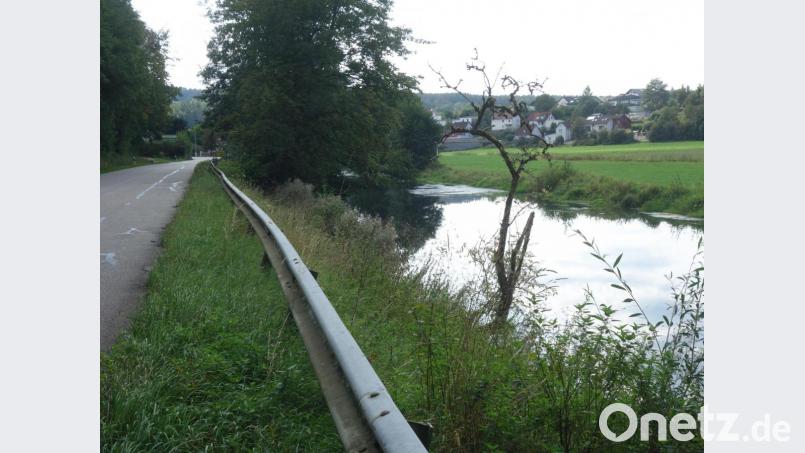 Die Sicherung der abrutschenden Uferböschung an der Gemeindeverbindungsstraße Wolfsbach nach Theuern wurde für knapp 30.000 Euro an das Wasserwirtschaftsamt Weiden übertragen. Bild: tra