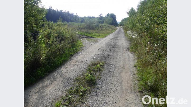 Über diese bereits bestehende Trasse an der städtischen Erdaushubdeponie (links) soll eine neue Zufahrt zum Gewerbegebiet &quot;Am Stadtwald&quot; entstehen. Bild: rn
