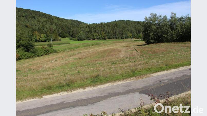 Der Änderungsantrag für den Bebauungsplan Baugebiet Nr. 1 (Ludwigshöhe) fand die Zustimmung des Gemeinderats. Dabei soll aber auch der Grenzverlauf überprüft werden, um für die Straße zum Bahnhof Neukirchen die erforderliche Breite sicherzustellen. Bild: ds
