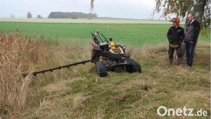 Der Landschaftspflegeverband beauftragt externe Fachkräfte zur Mahd von Dämmen und Hängen mit einer Mähraupe – so wie an den Langwiedteichen bei Nabburg. Bild: Hirsch