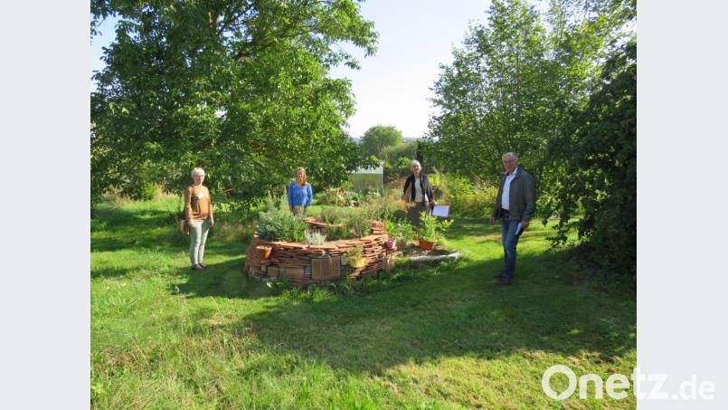 Gemeinsam mit Gartenbesitzerin Anika Frieser (Mitte) begutachten Kreisfachberaterinnen Maria Treiber (links) und Dagmar Thimm-Böhringer (Zweite von rechts) im Beisein des Kreisverbandsvorsitzenden Albert Nickl (rechts) den Naturgarten in Döltsch. Bild: adj